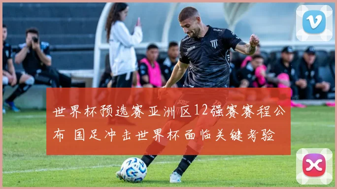 世界杯预选赛亚洲区12强赛赛程公布 国足冲击世界杯面临关键考验