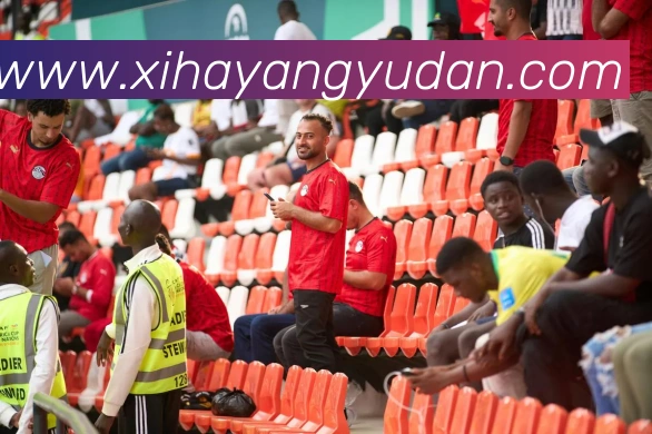 多媒体互动体验